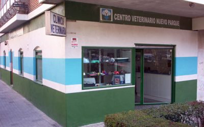 Lorem Ipsum
