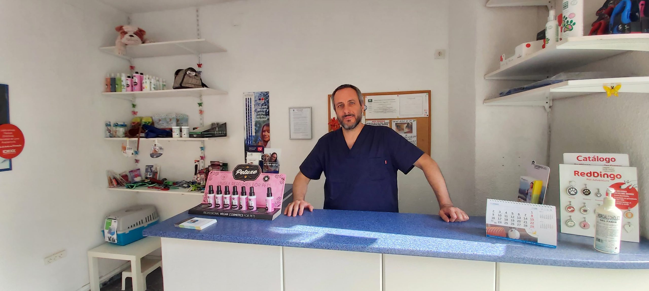 Veterinario en quirófano